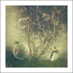 The butterfly tree poster