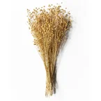 Torkat Lin