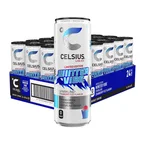 24 x Celsius 355 ml Winter Vibe
